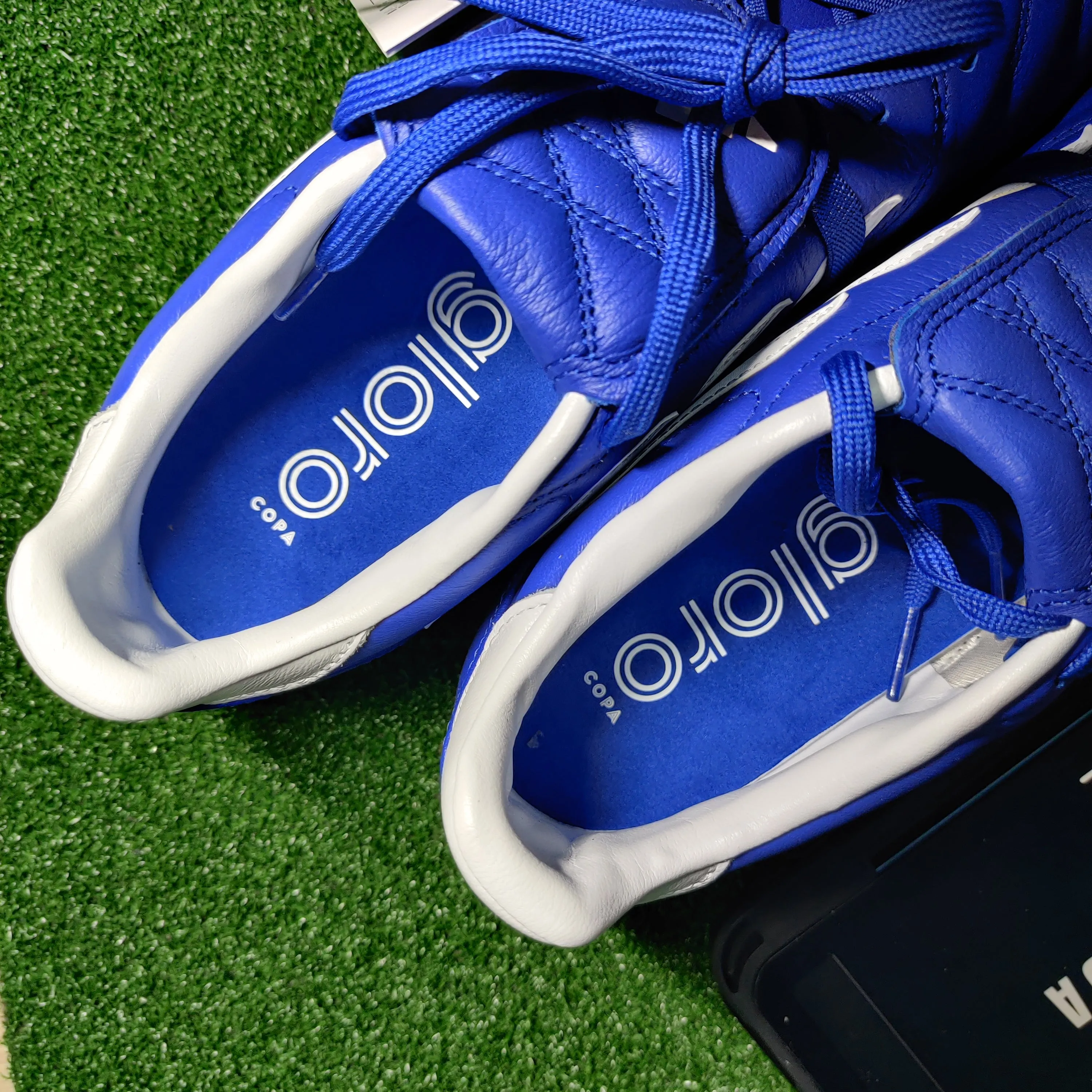 Adidas Copa Gloro FG (Semi Lucid Blue)