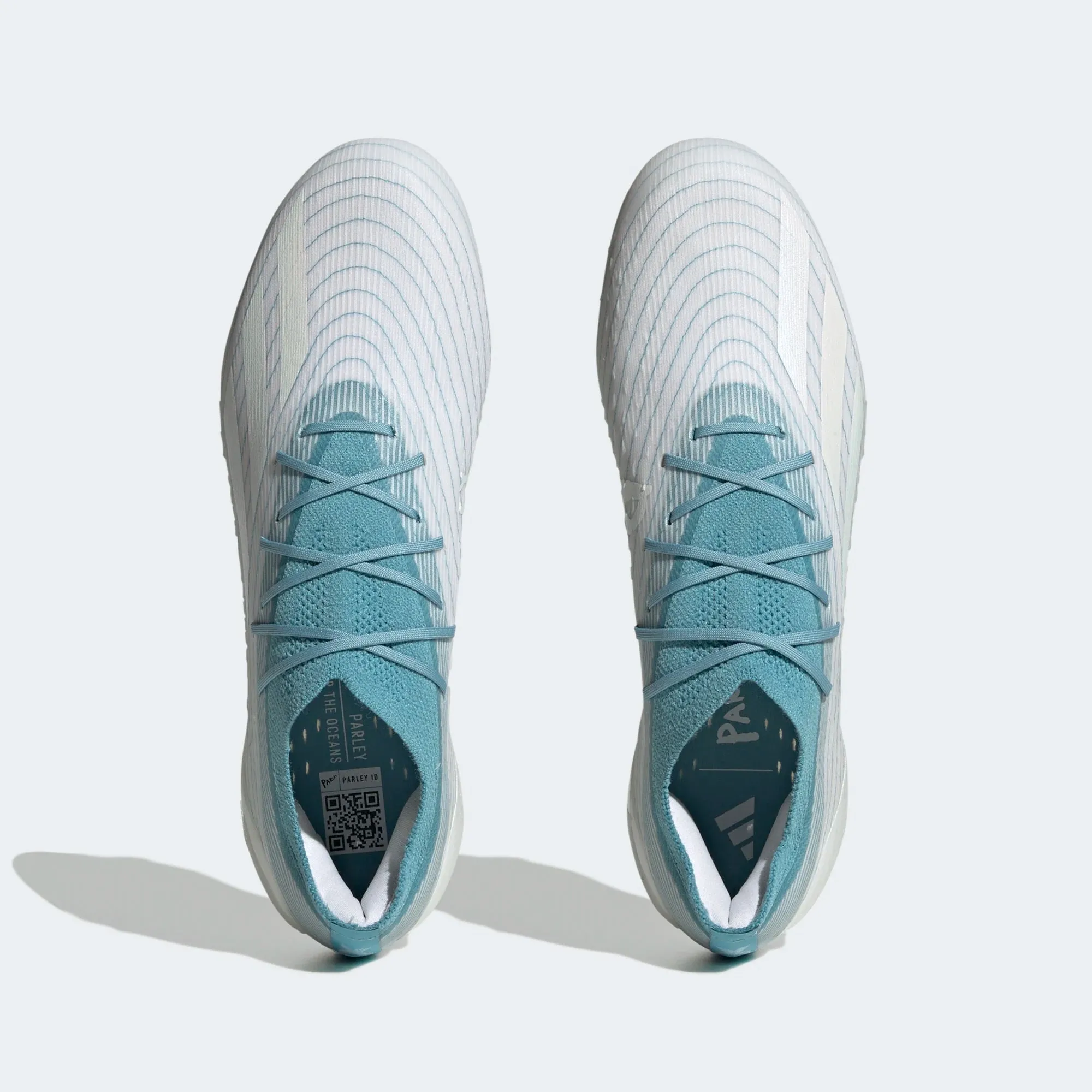 X Speedportal.1 FG [Parley]